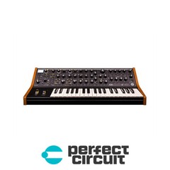 Moog Subsequent 37 Paraphonic Synth SYNTHESIZER – DEMO – PERFECT CIRCUIT