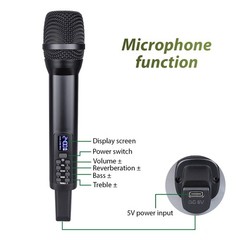2.4G Wireless Microphone Handheld Dynamic Mic Rechargeable D100 1TX1RX