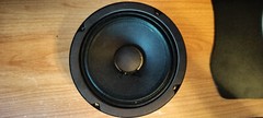Eminence ALPHA-6A 6.5 inch Midrange Speaker Woofer 100 Watts RMS 8 ohm ALPHA 6A
