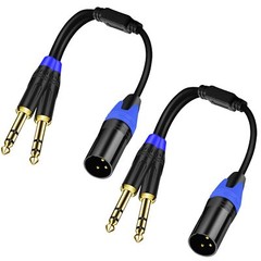 Dual 1/4 Inch to XLR Microphone Cable 11.8inch 2-Pack