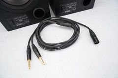 Adam S2A Active Monitors w/ Primacoustic Recoil Stabilizers & Mogami Gold #58846