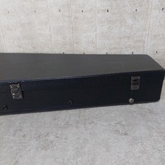 The Coffin Case Electric Guitar Coffin Shaped Hard Case Gothic Shoegaze Vintage