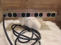 Furman PL-8 Power Line Conditioner and Surge Protector w/Lights