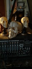 Skull optical theremin synthesizer drone circuit bent