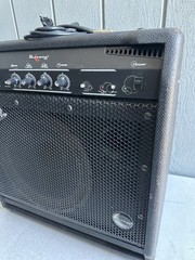 FENDER BASSMAN 60 WATT bass AMP 180 watts