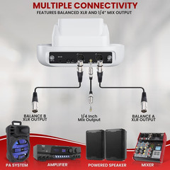 Pyle UHF Wireless Microphone System with Dual Handheld Mics, USB Rechargeable, B
