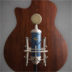 Blue Bluebird SL Large-Diaphragm Condenser Studio Recording Vocal Microphone New