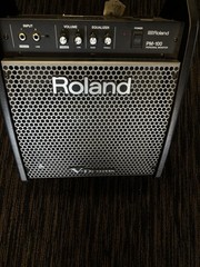 ROLAND PM100 AMP ME#I-5019