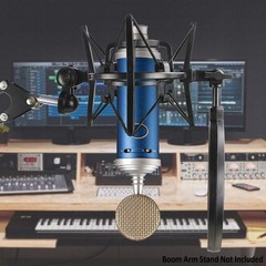 Bluebird Shock Mount with Pop Filter, Windscreen and Shockmount to Reduce Vib…