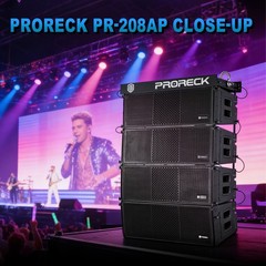 PRORECK 208AP 4000W Line Array Speaker System x1 sigle(Single Unit with Flying )