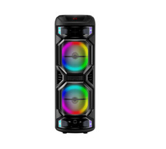 Wireless Speaker 12 Inch Bluetooth Portable PA System Dual Wireless Microphone