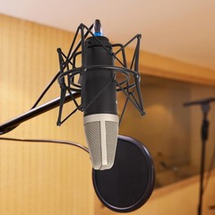 Condenser Microphone XLR Large Diaphgram Professional Recording Cardioid Microph