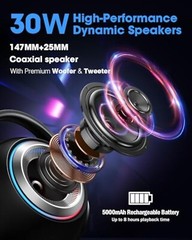 Portable Karaoke Machine Bluetooth Speaker with 2 Wireless Microphones