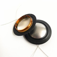 2 Replacement 1″ Titanium Dome Diaphragms for Mirage M1 Si Tweeter 5DR53040 8Ω