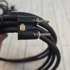 2 – Pro Co Power Plus 12-2 Speaker Cable 10ft Black Made In USA – Custom End