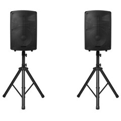 2 X 10 in Speakers PA System 800W Mixer Wireless Bluetooth Mic for DJ Party