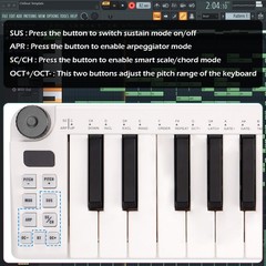 25 Keys Mini Keyboard – Professional Beat Maker and Keytar for Keyboard Music…