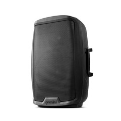 Gemini 12″ Powered PA Speaker, 800 Watts, Stage Monitor 12 in, Black