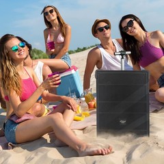 PylePro PWMA1299A 12“ Portable Wireless Bluetooth Speaker System