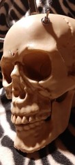Skull optical theremin synthesizer drone circuit bent