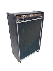 100 % Original Standel Custom 30 Solid State Guitar Amplifier!