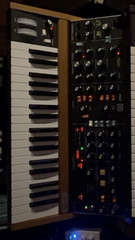 Behringer Poly D 37-Key Keyboard Synthesizer w/ Pitch & Mod Wheels