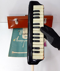 Vintage Soviet wind instrument synthesizer melody-26 USSR Brass harmonica