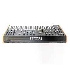Moog Muse 8-Voice Analog Polyphonic Synthesizer 61-Key Bi-Timbral w/ Aftertouch