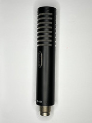 Royer R-101 Passive Ribbon Microphone w/ Shock Mount, Case & Bag — Excellent