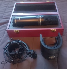 Miktek MK300 LDC Microphone with Wooden Case – Excellent Condition