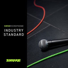 SM58 Professional Dynamic Vocal Microphone with 25-Foot XLR Cable – Cardioid Mic