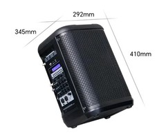 Portable Wireless PA System with Bluetooth and Microphones, Black