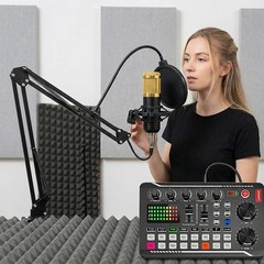 NEW BM800+V8S Sound Card Set Audio Condenser Mic Studio Singing Microphone US