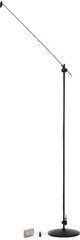 DPA Gooseneck Microphone with 4097 Supercardioid Capsule – 120 inch