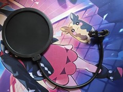 Studio Microphone Pop Filter Double Layer Wind Screen Mask Dust Cover