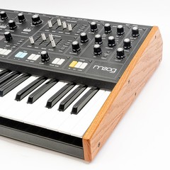 Moog Muse 8-Voice Analog Polyphonic Synthesizer 61-Key Bi-Timbral w/ Aftertouch