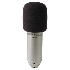 Studio Condenser Cardioid Microphone Shock Mount Filter Vocal Recording NEW