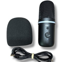 WMT RGB Condenser Gaming Microphone W Foam Filter & Plug In Tested No Stand