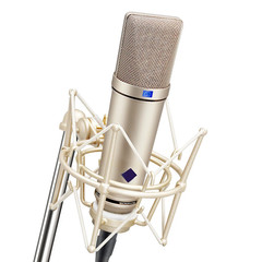 UI87 Professional Large Diaphragm Condenser Microphone Series High-End Recording