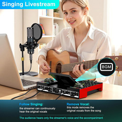 Podcast Microphone Bundle with Live Sound Board Audio Mixer, Podcast Equipment B