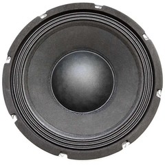 Seismic Audio 10″ Raw Speaker Woofer 200W RMS Replacement Driver Richter-10