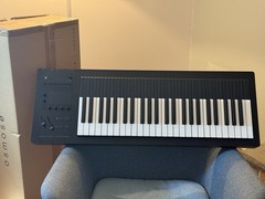 Expressive E Osmose 49-Key polyphonic  Keyboard Synthesizer With Case