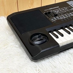 KORG microARRANGER Music Workstation Arranger Tested Fully Working from Japan