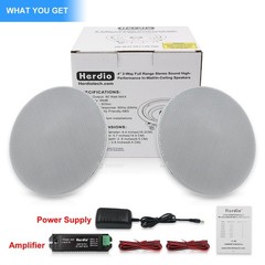 Herdio 4 Inches Flush Mount 2 Way Full Range In Wall Bluetooth Ceiling