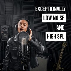 RØDE NT1 Signature Series Large-Diaphragm Condenser Microphone with Shock Mou…