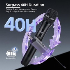 2PCS Wireless Professional Microphone Handheld Mic System Karaoke w/Receiver