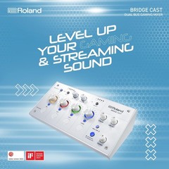 Roland BRC-WH Bridge Cast Gaming DAC Amp Audio Interface