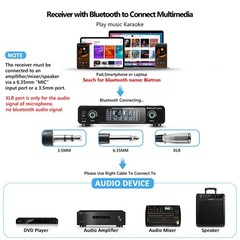 Wireless Microphone System Rechargeable,Professional Adults Singing Karaoke Wire