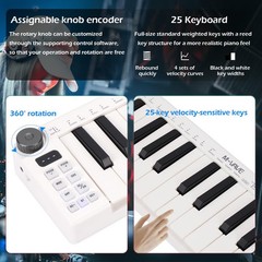 25 Keys Mini Keyboard – Professional Beat Maker and Keytar for Keyboard Music…