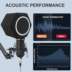 Professional Microphone Isolation Shield with Pop Filter & Stand for Studios